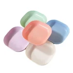 ১০ পিস রঙিন স্কয়ার ডিনার প্লেট সেট – হোল্ডারসহ ️ | Mart fare - Image 3